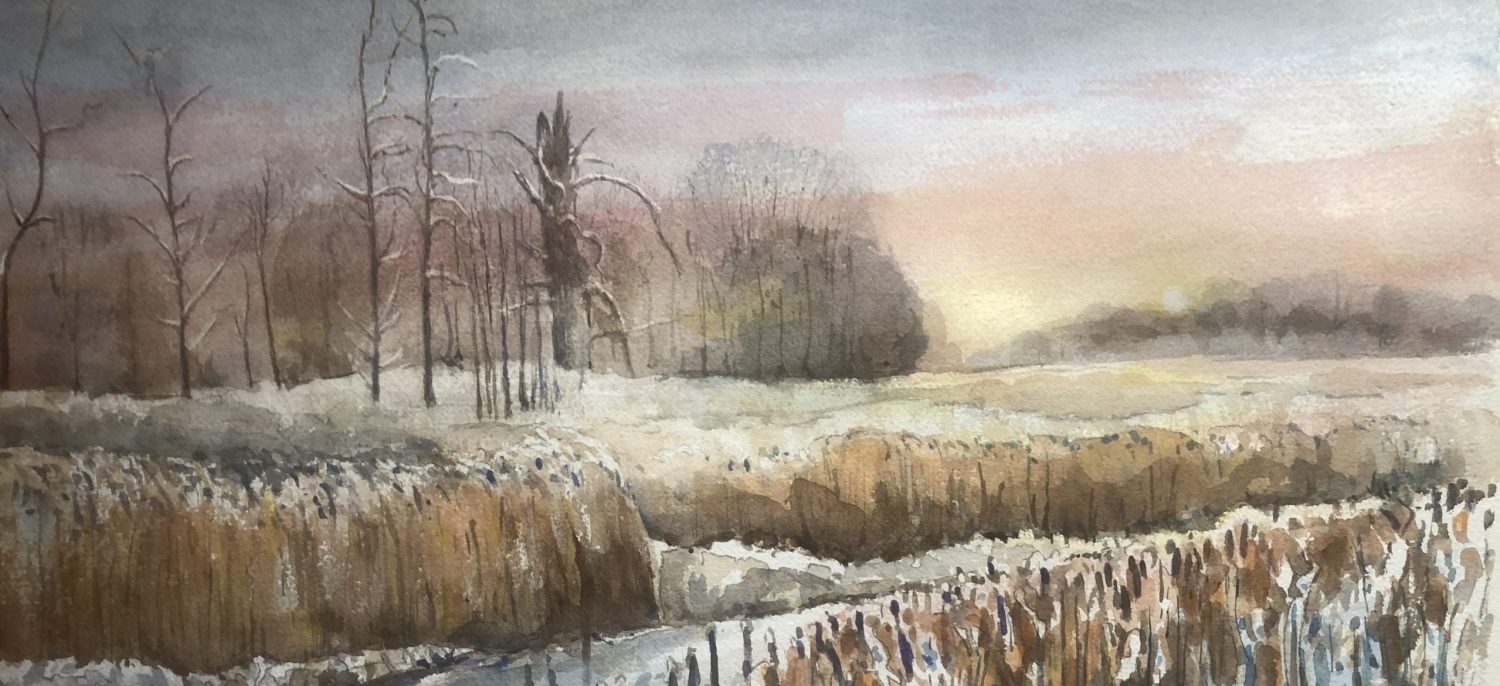 Paterswolde in Beeld