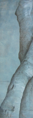 Jannie Boelens