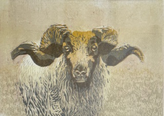 Judith de Dreu